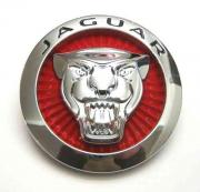 Jaguar's Avatar
